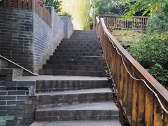 -张鸟园农家乐(张鸟园店)