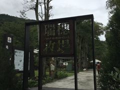 -瑞穗牧场