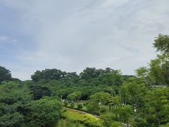 -立新湖公园