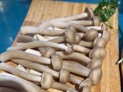 -慢丽江·云南野生菌土鸡锅(付家庄店)