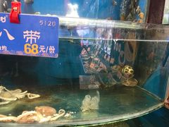 -粥全粥到海鲜家常菜(瞿塘峡路店)
