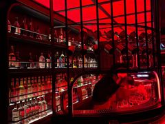-Orangutan Bunker猩猩地堡酒吧(兰桂坊店)