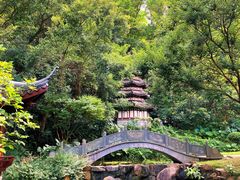 -深圳国际园林花卉博览园