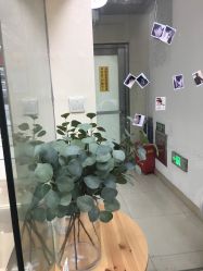 -Wisezone唯点穿耳打耳洞专业国际连锁品牌