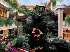 -广州白天鹅宾馆