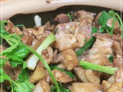 -华仔土鸡店(南洲分店)