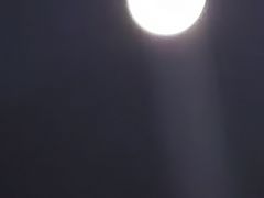-武昌江滩
