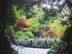 -十八棵（老龙井）御茶园(老龙井店)