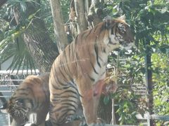 -上海动物园(地铁站)