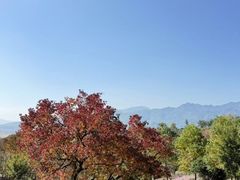 -塔川景区