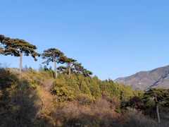-妙峰山风景名胜区