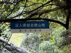 -石台牯牛降景区
