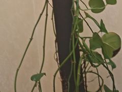 -金百万(亦庄店)