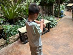-正佳雨林生态植物园