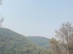 -野象谷景区