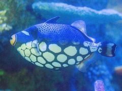 -沈阳海洋探索中心