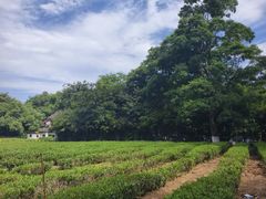 -灵顺寺