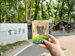 -灵谷景区