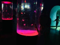 -苏州海洋馆