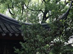 -拙政园