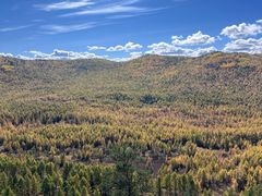 -莫尔道嘎国家森林公园