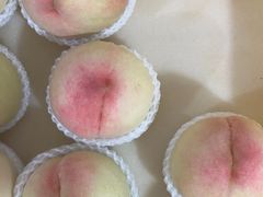 -老袁家蜜桃农场·阳山水蜜桃