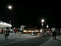 -演武大桥观景平台