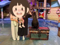 -烟台海昌鲸鲨海洋公园