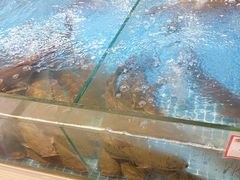 -徐家屯铁锅炖(宋家庄店)