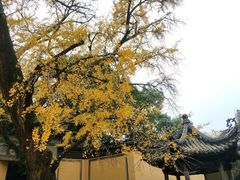-无锡惠山寺