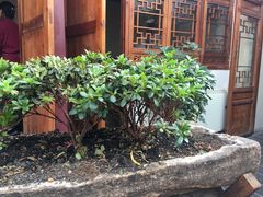 -丽江庭院之爱在路上(西单店)