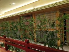 -大江户·温泉洗浴(浑南店)