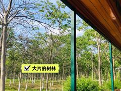 -西青郊野公园