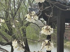 -八大山人梅湖景区