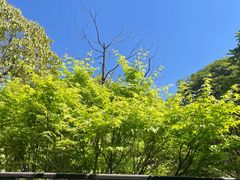 -外滩·云南人家(昆明旗舰店)