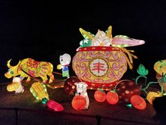 -武汉园博园(武汉自然博物馆)