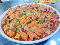 -后卫寨猫耳朵(后卫寨店)