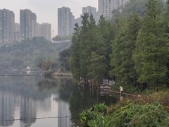 -重庆彩云湖湿地公园