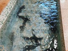 -荣德灶台鱼(圣泉寺店)