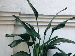 -拾壹cafe·工作室