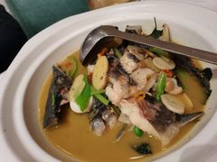 -饭怕鱼·黄焖鲟龙鱼(湖大店)