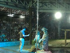 -清迈夜间动物园