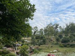 -东莞植物园