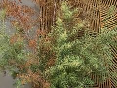 -满堂匠心川宴·私房菜(天府三街店)