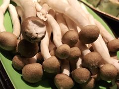 -一叶一世界·素食餐厅(锦华万达店)