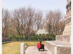 -玲珑塔公园
