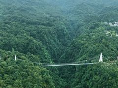 -碧峰峡风景区