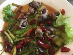 -鸿运美食府