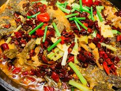 -老板恋上鱼(高新万达店)