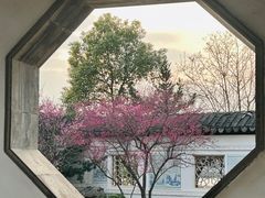 -八大山人梅湖景区